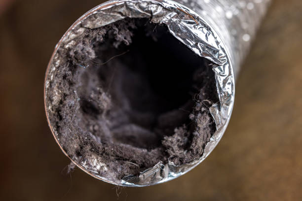 Best HVAC Air Duct Cleaning  in Plains, MT